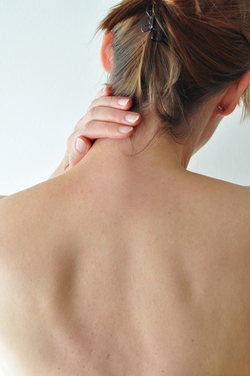 Ruecken_0005_0284fl.fit_250